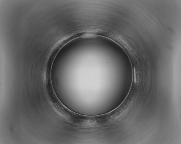 X0000112360252200908131502