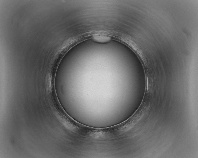 X0000112360253200908131502