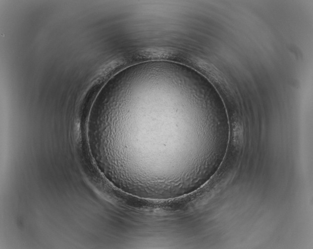 X0000112360254200908131502