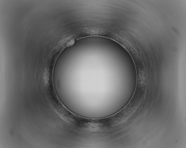 X0000112360255200908131502