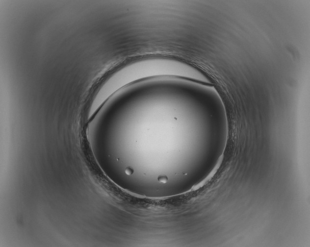 X0000112360256200908131502