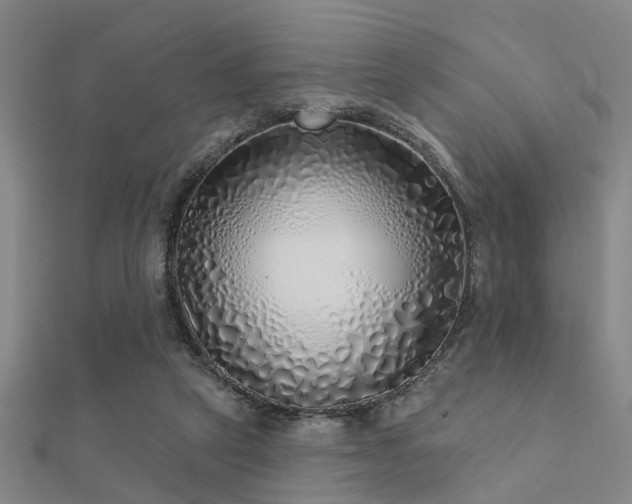 X0000112360257200908131502