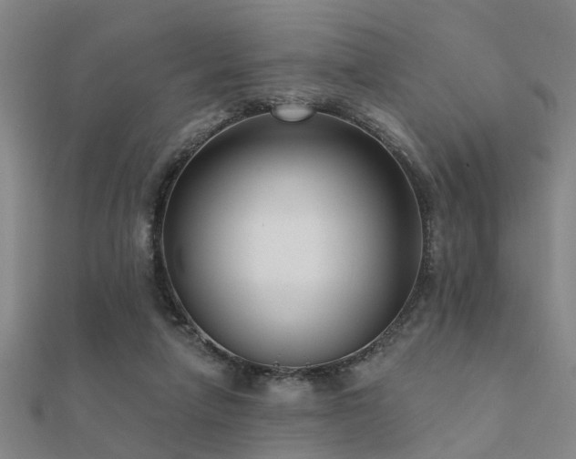X0000112360258200908131502