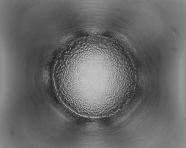 X0000112360259200908131502