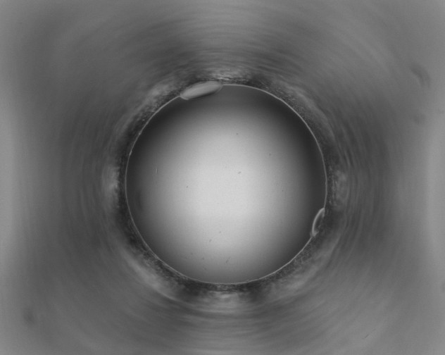 X0000112360260200908131502