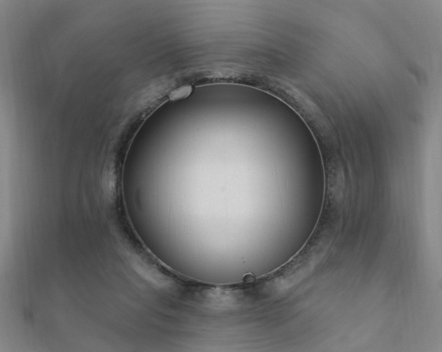 X0000112360261200908131502