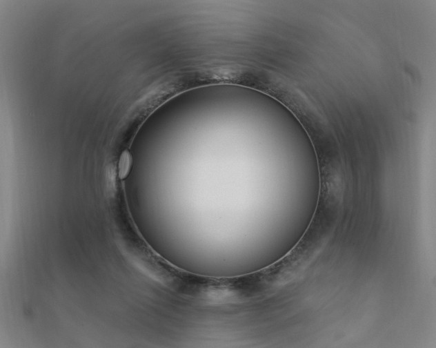 X0000112360262200908131502