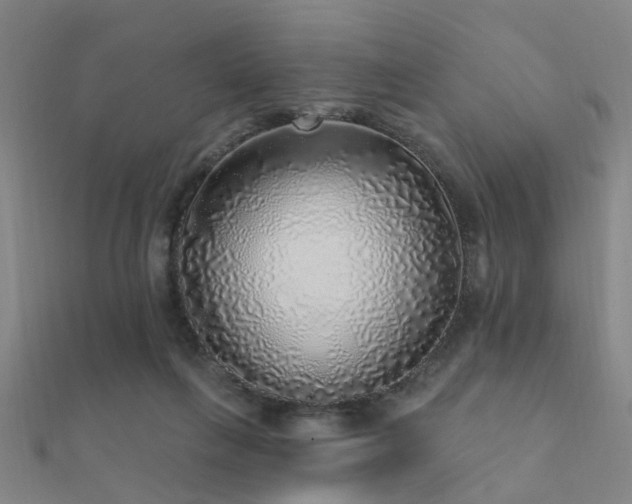 X0000112360263200908131502