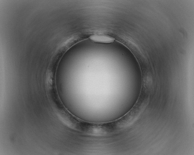 X0000112360264200908131502