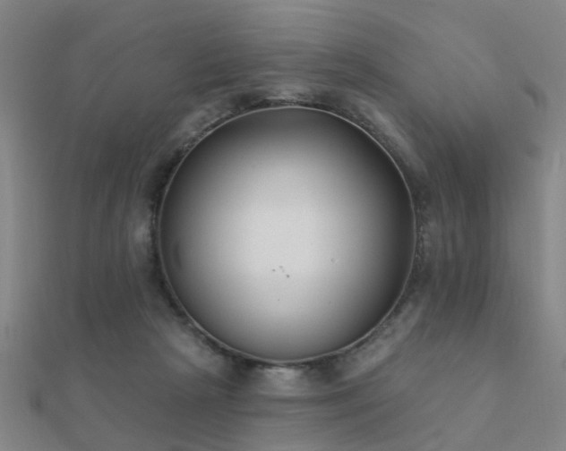 X0000112360265200908131502