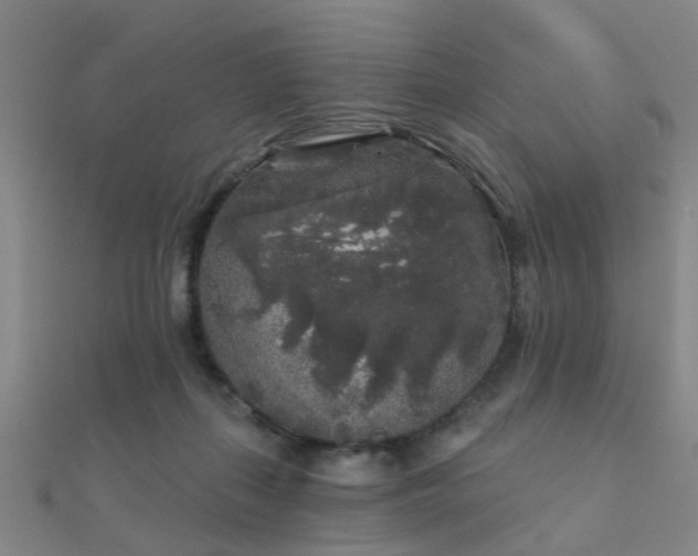 X0000112360267200908131502