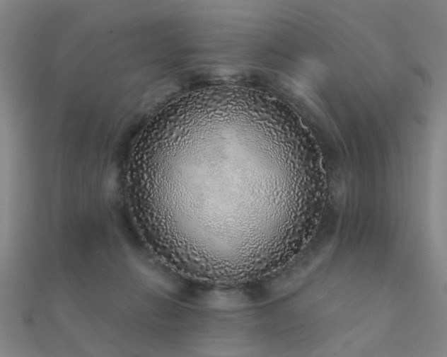 X0000112360270200908131502
