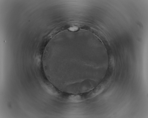 X0000112360271200908131502