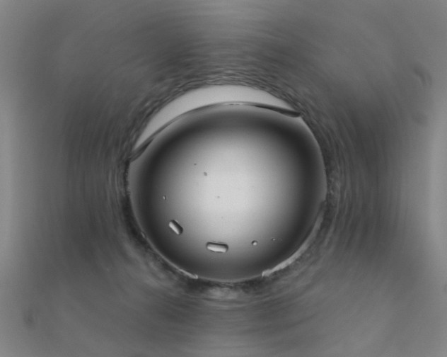 X0000112360272200908131502