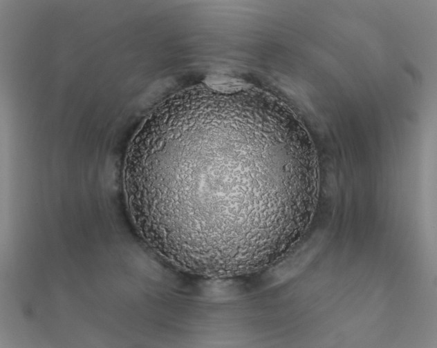 X0000112360273200908131502