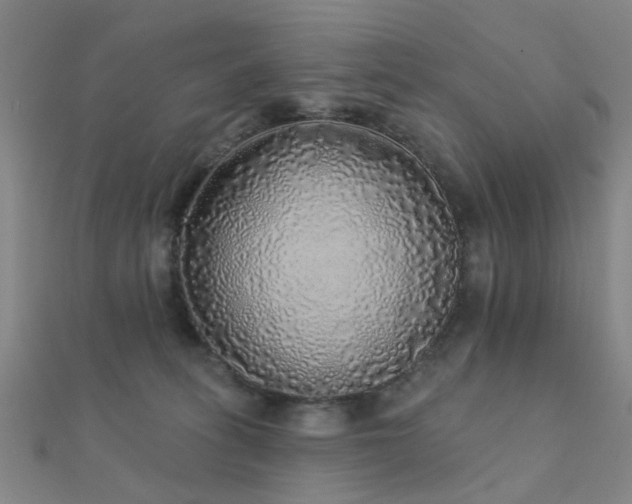X0000112360275200908131502