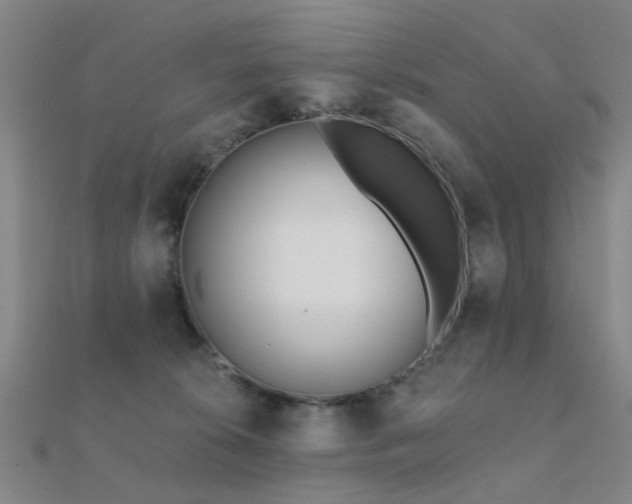 X0000112360276200908131502