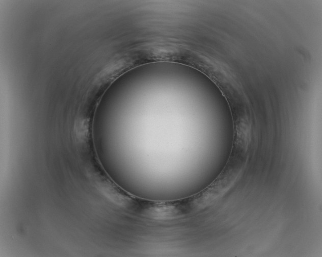 X0000112360278200908131502