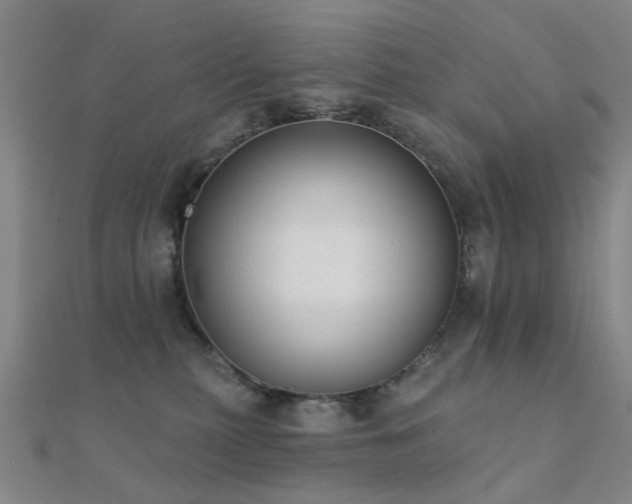 X0000112360279200908131502