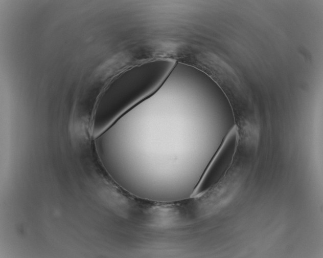 X0000112360280200908131502