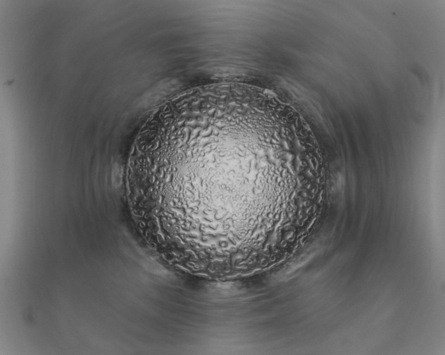 X0000112360281200908131502