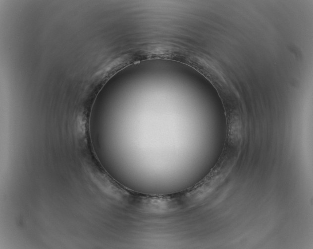 X0000112360282200908131502