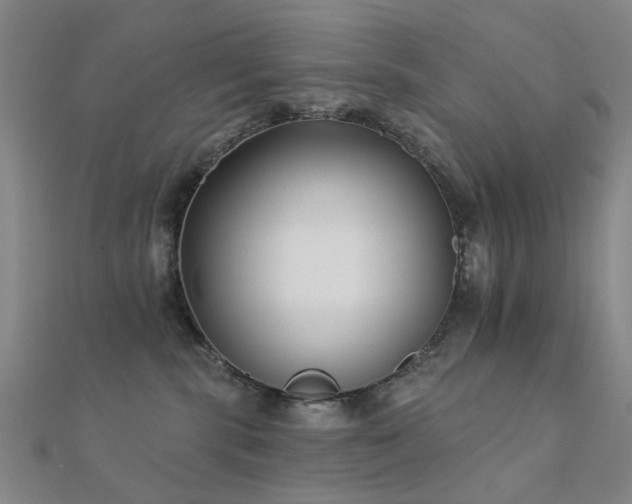 X0000112360283200908131502