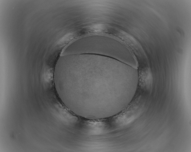 X0000112360284200908131502