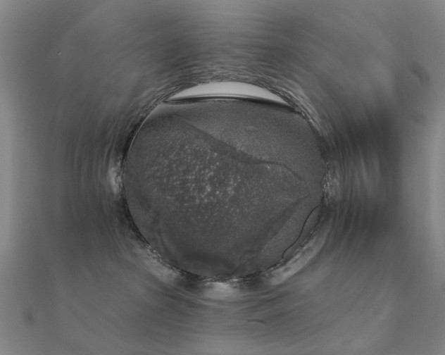 X0000112360285200908131502