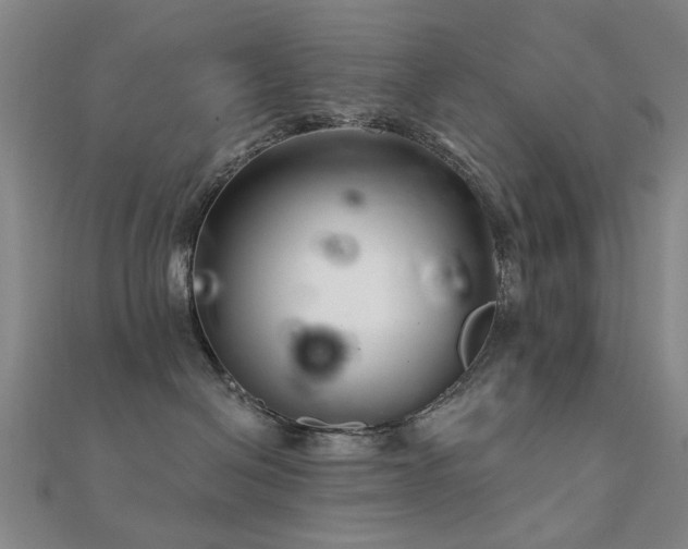 X0000112360286200908131502