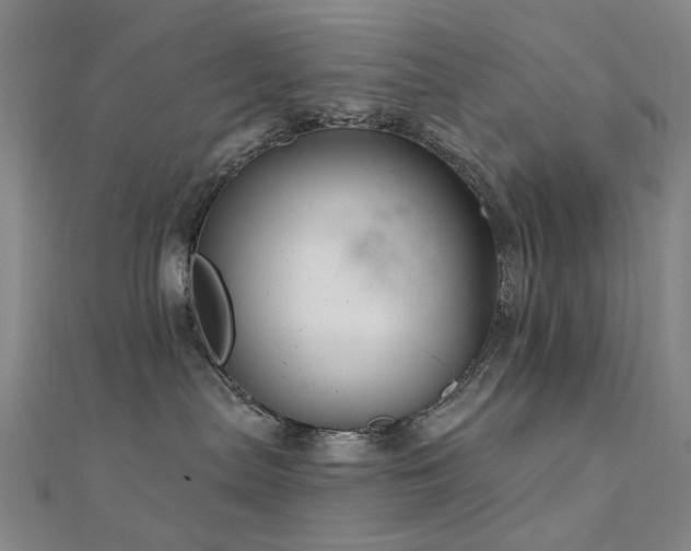 X0000112360287200908131502