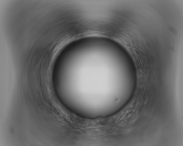 X0000112360289200908131502