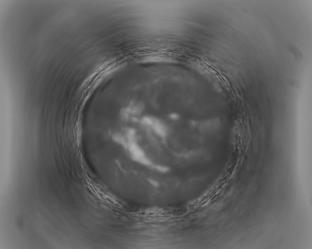 X0000112360290200908131502