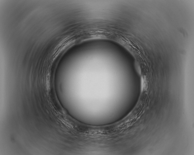 X0000112360291200908131502