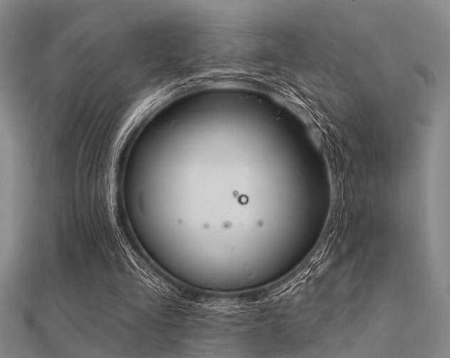 X0000112360293200908131502
