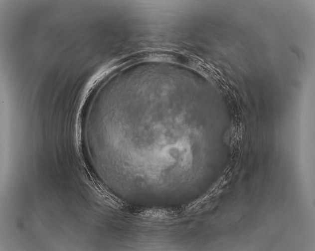 X0000112360294200908131502