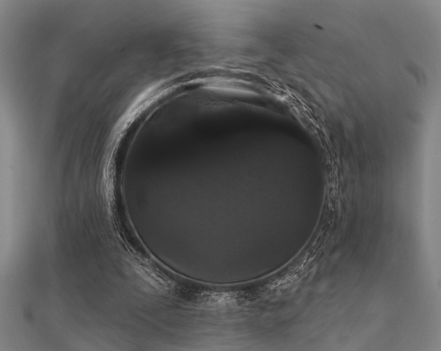 X0000112360295200908131502