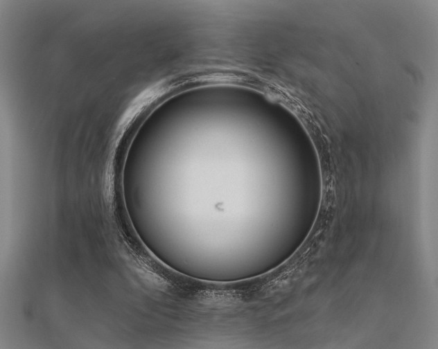 X0000112360296200908131502