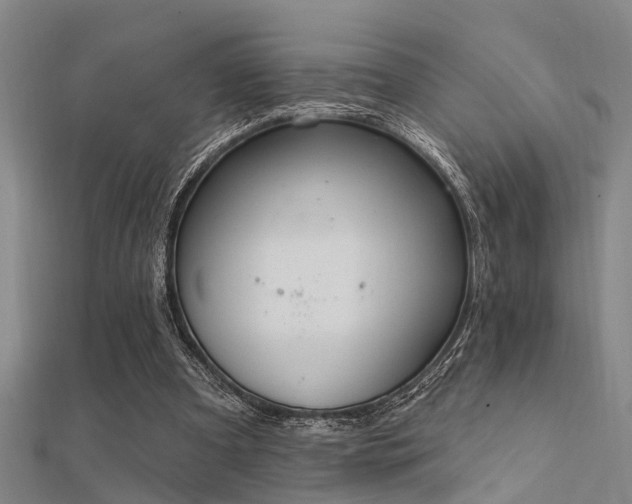 X0000112360297200908131502
