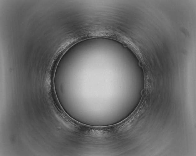X0000112360298200908131502