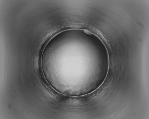 X0000112360299200908131502