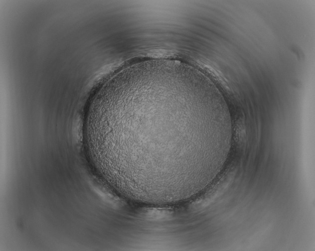 X0000112360303200908131501