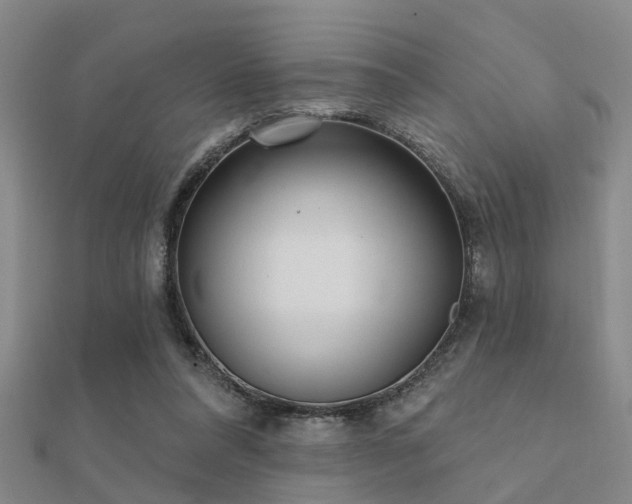 X0000112360304200908131501