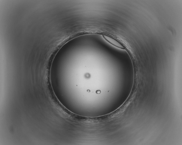 X0000112360305200908131501