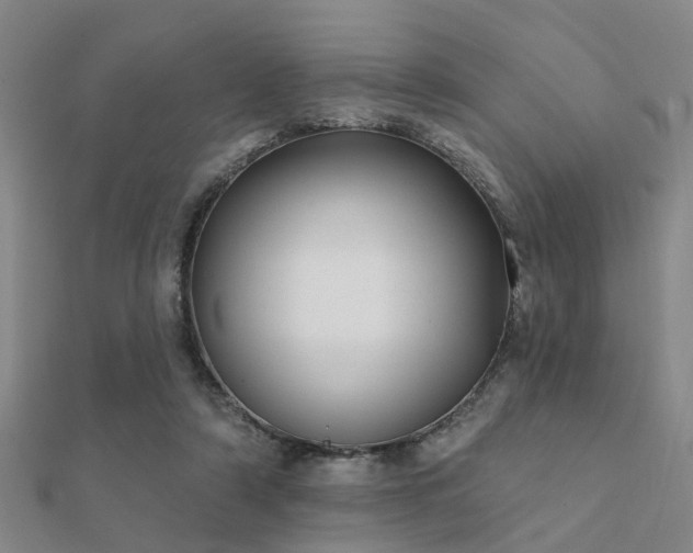X0000112360306200908131501