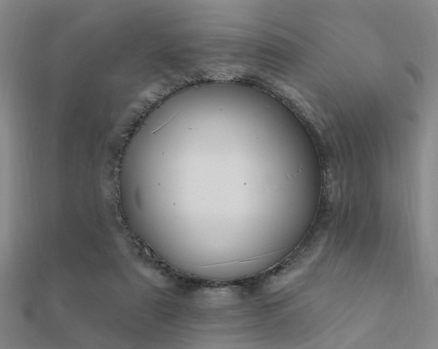 X0000112360307200908131501