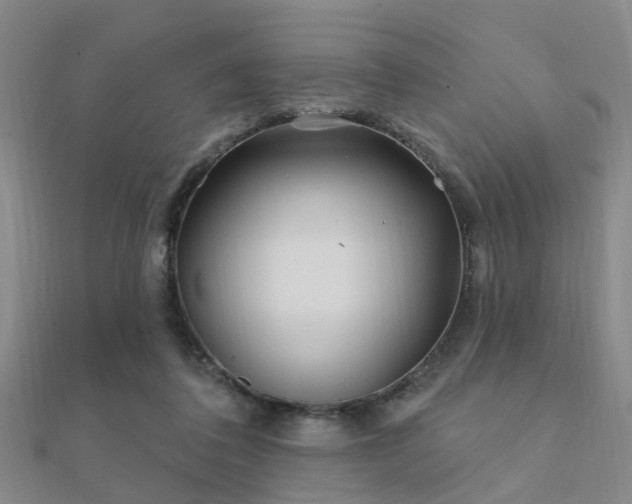 X0000112360308200908131501