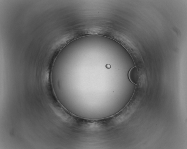 X0000112360310200908131501