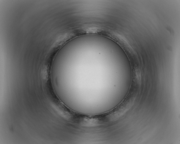 X0000112360311200908131501
