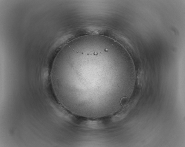X0000112360314200908131501
